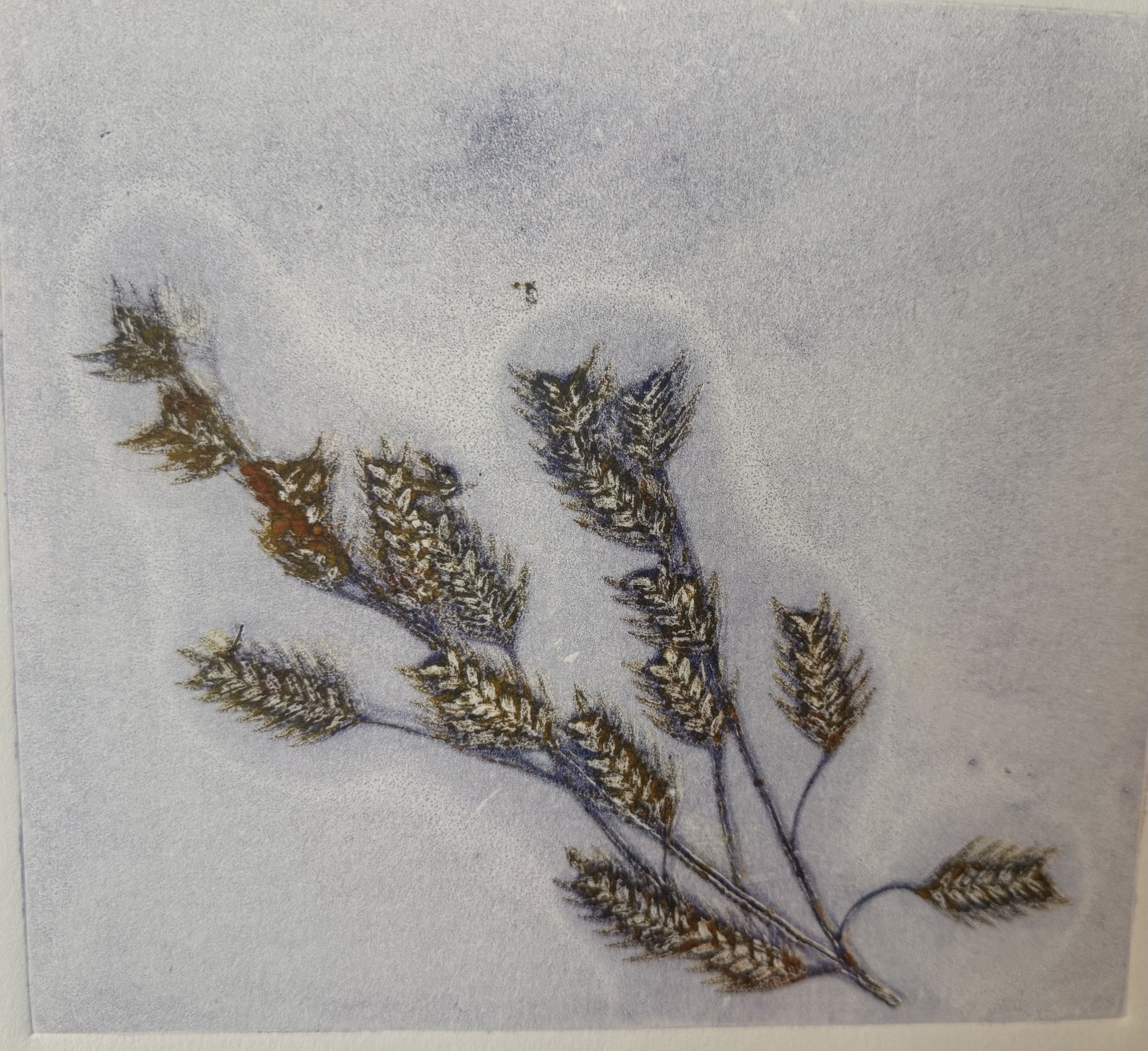 Wheat Stalks in Ice — monoprint by Jean Kelly