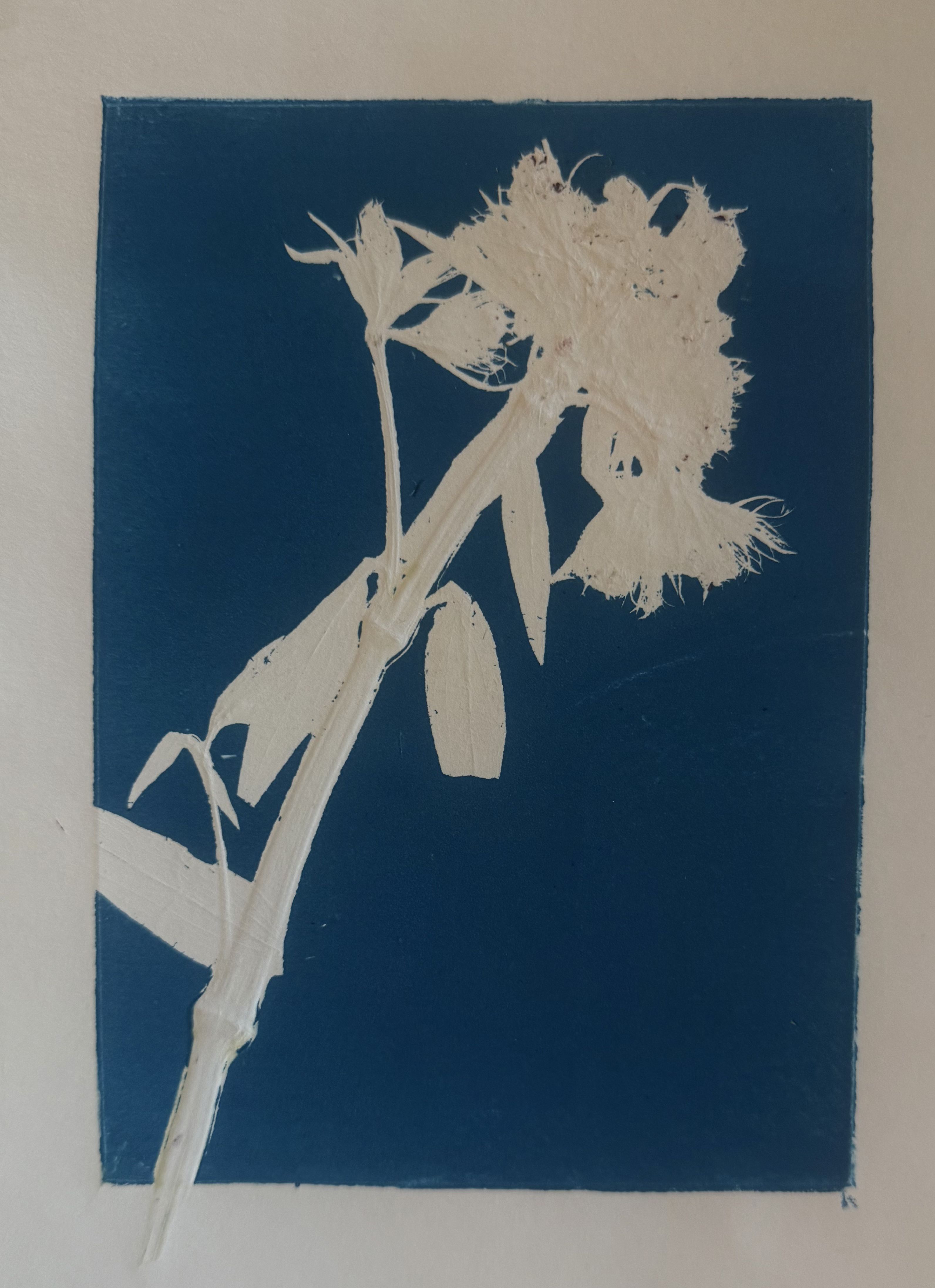 white on blue flower